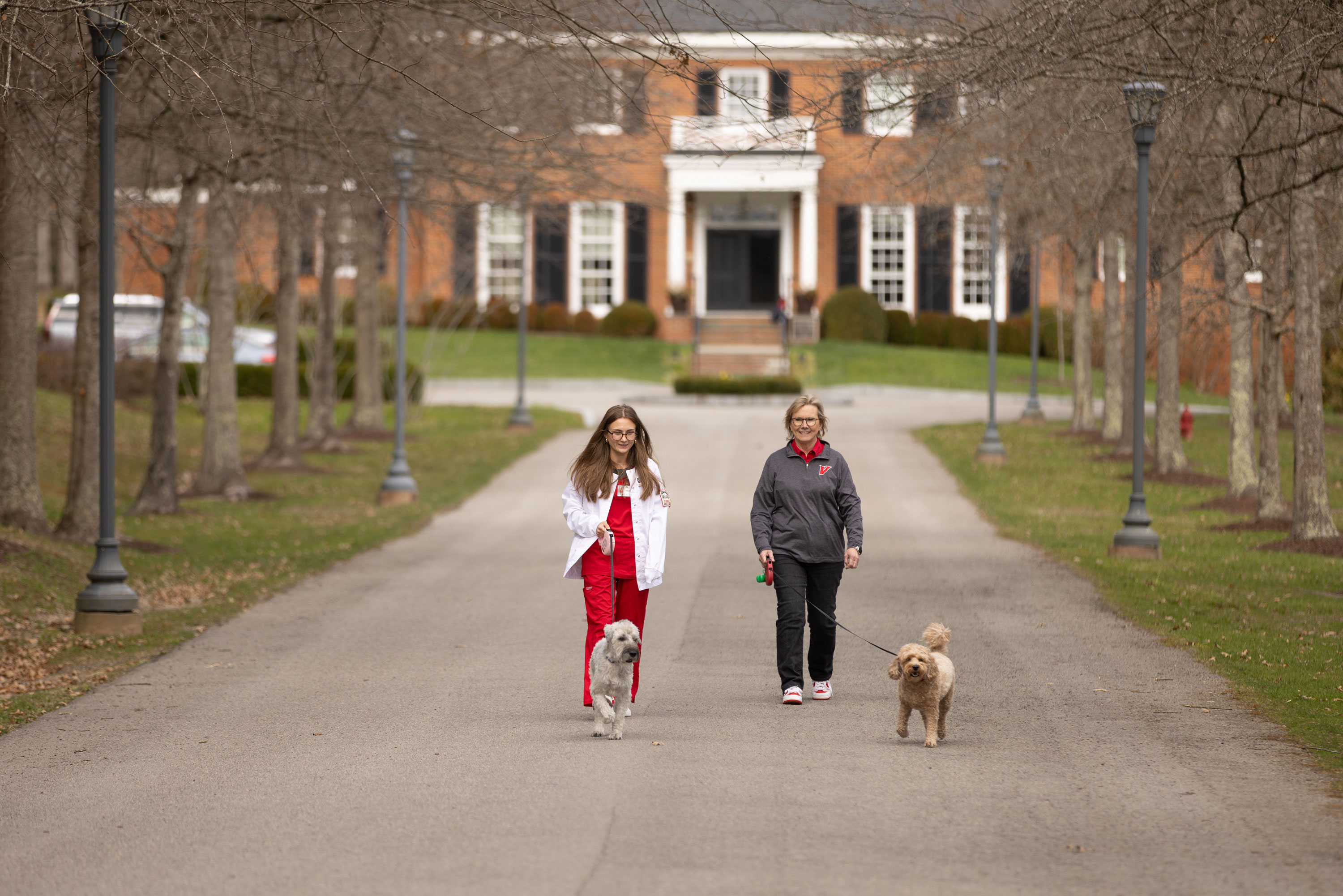 Tay Willinghan and Chancellor Henry walking dogs